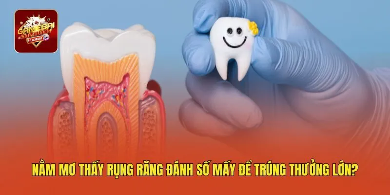 Nằm Mơ Thấy Rụng Răng Đánh Số Mấy Để Trúng Thưởng Lớn?